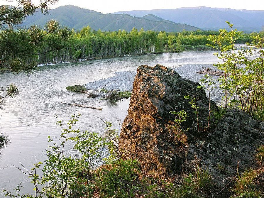 Берега реки Катунь фото Алтая